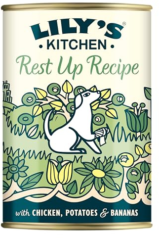 Lily's Kitchen Made with Natural Ingredients Adult Wet Dog Food Tin Rest Up Recipe 6 x 400g