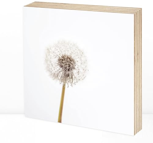 Wunderpixel® Holzbild Fotografie Pusteblume - beige-weiß - 15x15x2cm zum Hinstellen/Aufhängen, echter Fotodruck auf Holz - Wand-Bild Aufsteller zur Dekoration/Geschenk-Idee