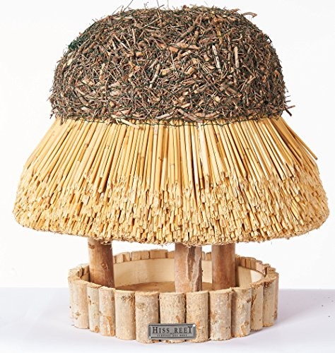 Hiss Reet Vogelhaus mit Reetdach | Vogelfutterhaus Sylt | Größe M | Holz Futterhaus für Vögel aus 100% Handarbeit I Ideal für Balkon, Garten & Terrasse I Witterungsbeständig