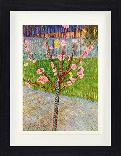 1art1 Vincent Van Gogh Poster L'Albero di Pesca in Fiore, 1888 Quadro in Cornice con Pregiato Passepartout | Immagini A Parete | in Una Cornice 40x30 cm