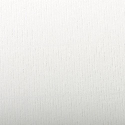 Clairefontaine 93480C Packung (mit 25 Blätter, 130 g, Ingres Pastell Papier, gekörnt, 50 x 65 cm, ideal für Trockentechnik) weiß