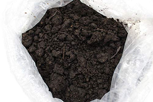 Bio Abdeckerde - Abdecken von Pilzsubstrat, Champignonzucht