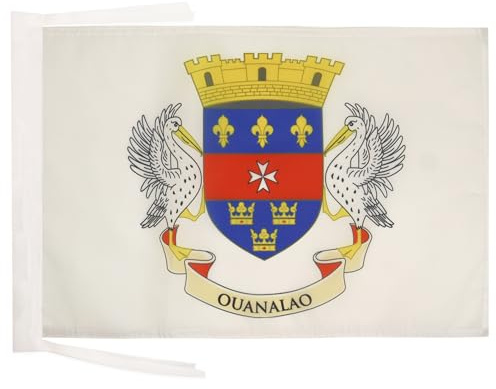 AZ FLAG Drapeau Saint Barthélémy 45x30 cm Polyester 100D Cordelettes | Usage intérieur et extérieur Drapeau décoratif français coutures doubles et bords renforcés