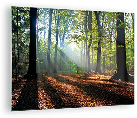 Bilder auf Glas 70x50cm Wandbild Glasdruck Botanik Landschaften - 0136 | Wald Blätter Sonne Klein Modern Dekoration Wohnzimmer Schlafzimmer Küche Wanddeko Kunstdruck Art Wall Decor ARTTOR