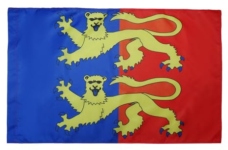 AZ FLAG Drapeau Manche 150x90 cm Drapeau Français Polyester 100D Fourreau | Usage intérieur et extérieur Drapeau décoratif coutures doubles et bords renforcés avec fourreau pour mât