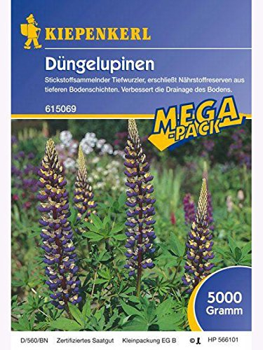 Düngelupinen Gründünger 5kg