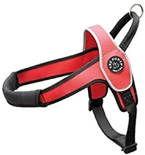 TRE Ponti Primo Hundegeschirr