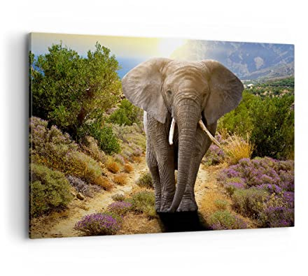Bilder auf Leinwand 100x70cm Leinwandbild Tiere Afrika Elefanten Spaziergang Groß Wanddeko Bild Schlafzimmer Deko Wandbilder Dekoration Wohnzimmer Wall Decor Canvas Wand Kunstdruck Art AA100x70-2708