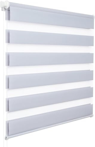 WOLTU Doppelrollo Klemmfix ohne Bohren Grau B60 x H150 cm, Duo Rollo lichtdurchlässig Fensterrollo für innen verdunkelnd, Zebrarollo mit Kettenzug - Seitenzugrollo für Fenster und Tür