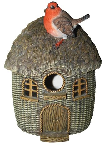 Bird care - Alimentador de pastoreo-pájaro con robin