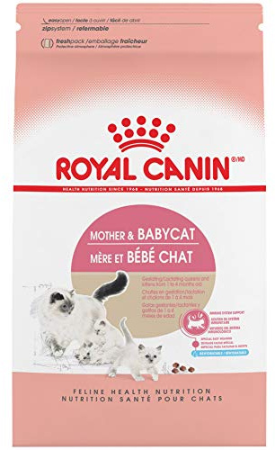 ROYAL CANIN FELINE HEALTH NUTRITION Mother & Babycat dry cat food, 3.5-Pound by Royal Canin