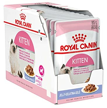 Royal Canin Feline Kitten Stückchen in Gelee | 12 x 85g | Alleinfuttermittel für Katzenwelpen in der zweiten Wachstumsphase bis zum 12. Monat | Im praktischen Beutel