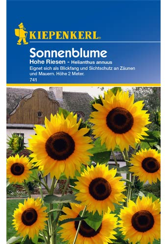 Kiepenkerl 741 Sonnenblume Hohe Riesen (Sonnenblumensamen)