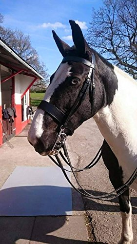 Equipride Trensenzaum, 5,1 cm (2 Zoll) breiter Nasenriemen mit Gummigriff-Zügeln, Schwarz , Kaltblut / Warmblut extragroß