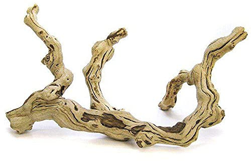 Zoo Med Premium Sand Blasted Grapevine for Reptiles, Birds, Rodents | Terrarium, Aviary, or Enclosure Decoration - Medium 12