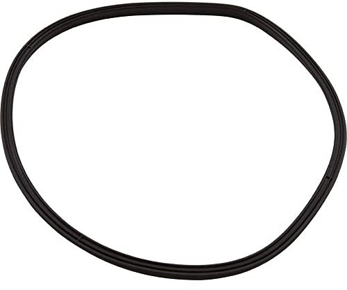 Hayward SPX4000TS Strainer Cover T-seal Replacement Northstar Pump