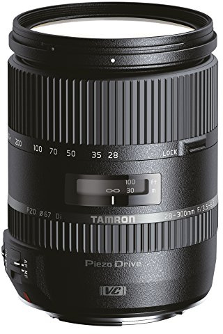 Tamron Objectif AF 28-300 mm F/3,5-6,3 Di VC PZD Noir - Monture Sony (A010 S)