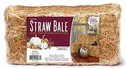 Floracraft Pala de Paja 15,2 x 12,7 x 33 cm, Natural