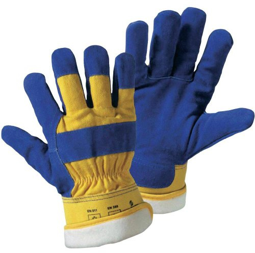 Worky 1633 Spaltlederhandschuh THERMOBÄR Spaltleder Größe: 11, XXL (Handschuhe): Blau