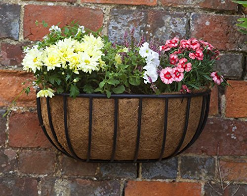 Smart Garden Forge Wall Manger Planter with Coir Lining. Classic Design. 20 wide
