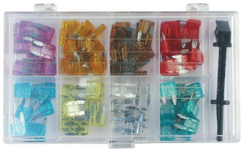 Unbekannt 2 Stück, Wentronic KFZ-Sicherungen Set Mini (8 Werte und Sicherungszieher)