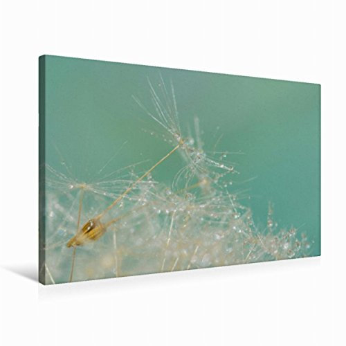 Premium Textil-Leinwand 75 x 50 cm Quer-Format Pusteblume- Traum in Blau | Wandbild, HD-Bild auf Keilrahmen, Fertigbild auf hochwertigem Vlies, Leinwanddruck von N N