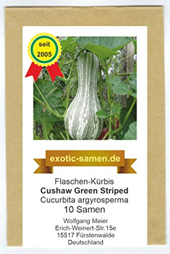 Speisekürbis - Flaschenkürbis - Cushaw Green Striped - 10 Samen