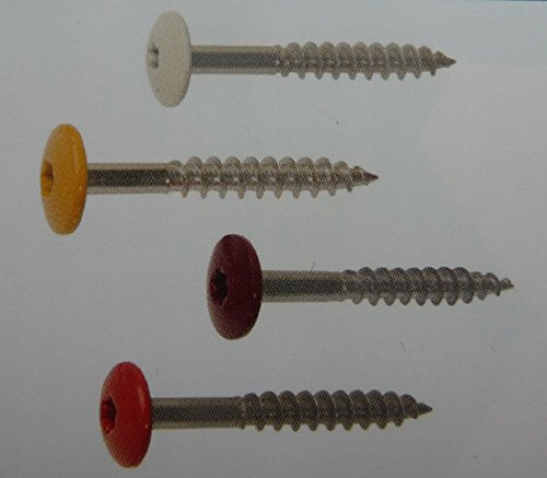 alt-intech Fassadenplatte Balkonplatte HPL Verschiedene Größen und Farben + Zubehör (Fassadenschraube Lackiert 4,8 x 38 mm VPE 100 St., Graphit grau)