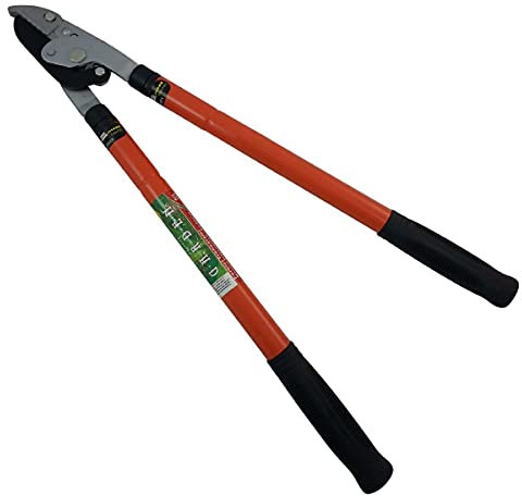 DE LUCA COLTELLERIE S.r.l. Forbici TRONCARAMI 369