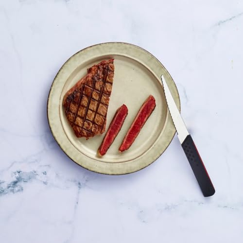 Sabatier - Couteau à Steak X'RAY - 12 cm - Fabriqué en France | Lame en Inox, Parfaits pour Couper les Viandes Cuites avec Efficacité sans Déchirer les Fibres