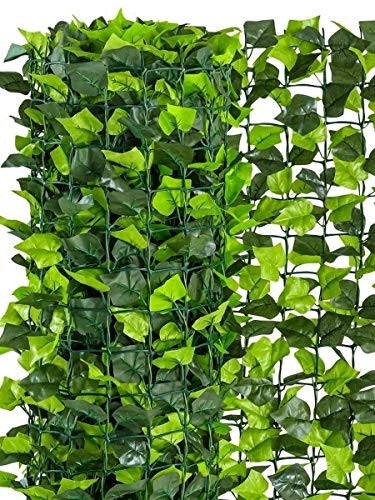 ABC Home | Sichschutzhecke Efeu | Kunststoff | grün