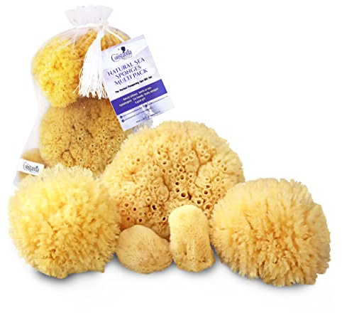 Real Natural Sea Sponges Multipack - 5pc Spa Gift Set in Premium Bag, Kind on Skin, for Bath Shower Facial Cleansing, Pamper Moms Brides Girlfriends & Teens by Constantia Beauty®