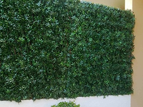 Treillis vigne vierge verte 1 x 2 m