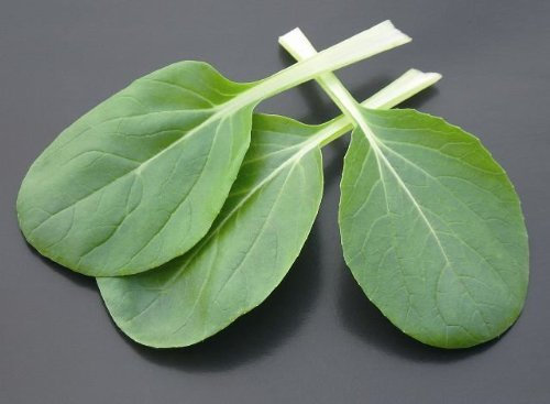 Just Seed - Vegetable - Pak Choi - Canton Dwarf - 200 Seeds - Economy Pack