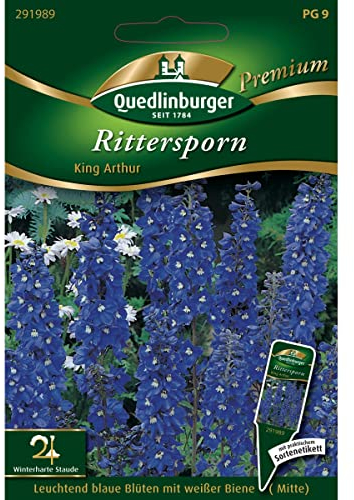 Rittersporn, King Arthur