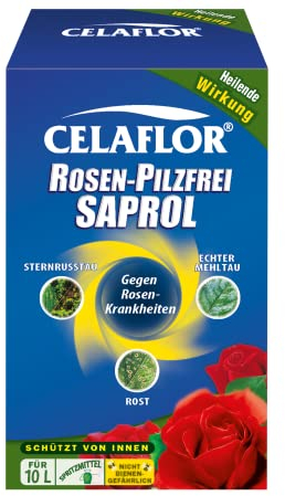 Substral Celaflor Rosen-Pilzfrei Saprol, 100 ml Konzentrat - gegen Pilzkrankheiten an Rosen, wie Echten Mehltau, Sternrußtau und Rost