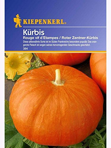 Kiepenkerl Speisekürbis Rouge vif d'Etampes (Roter Zentner)