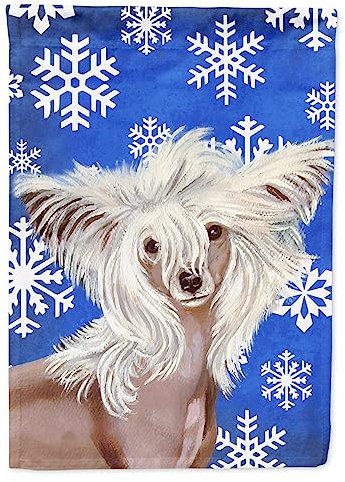 Caroline S Treasures Lh9302gf Chinois à crête d'hiver Flocons de Neige Vacances Drapeau, Petite, Multicolore