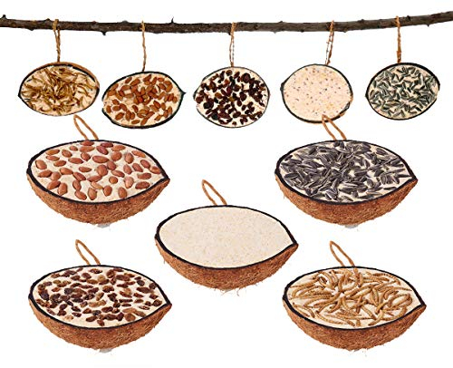 Vogelfood 10 gefüllte halbe Kokosnüsse in fünf verschiedenen Sorten zum aufhängen Ganzjahres Wildvogelfutter