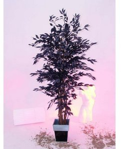 kunstpflanzen-discount.com AUSLAUF - Ficus-Benjamini Kunstbaum, mit Multi Stamm Natur, Schwarze 1548 Blätter, Höhe 180cm - künstlicher Ficus Baum