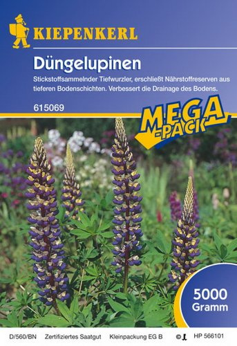 Kiepenkerl Gründünger Lupine 5 Kg