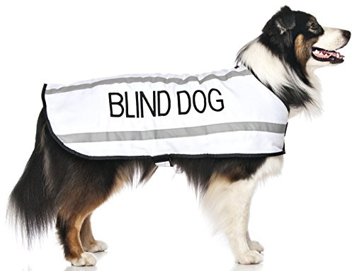 Dexil White BLIND DOG Dog Coat, Waterproof, Reflective, Fleece Lined, Prevents Accidents, M-L
