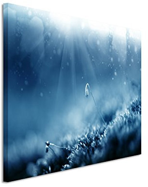 120x80cm Wandbild – Farbe Blau Petrol - Leinwandbild auf Keilrahmen in bester Qualität - Makroaufnahme Moos auf Baumrinde