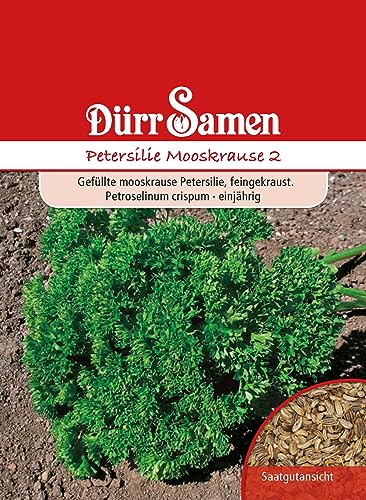 Petersilie Samen Mooskrause 2 Petersiliesamen ca 2000 Korn Küchenkräuter Kräutersamen Saatgut Mehrjährig Balkon Garten Hochbeet Kübel Dürr Samen