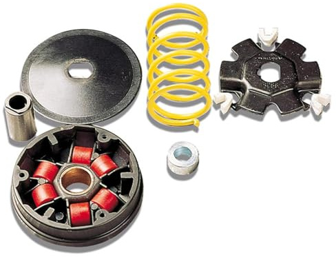 Variateur Malossi Multivar pour Honda Dio/Vision/Wallaroo, Peugeot Fox/Rapido/ST 50cc, ressort de contre-pression : blanc, poids