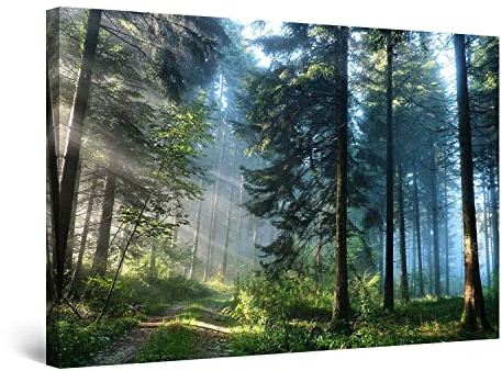 Startonight Bilder Straße im Wald, Leinwandbilder Moderne Kunst, Landschaft Wanddeko Kunstdrucke, Wandbilder XXL Wohnzimmer Groß Wand Bild 80 x 120 cm, Tag Nacht Effekt, Elegante Geschenkidee Deko