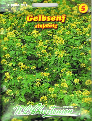 Chrestensen Gelbsenf Senf Gründünger
