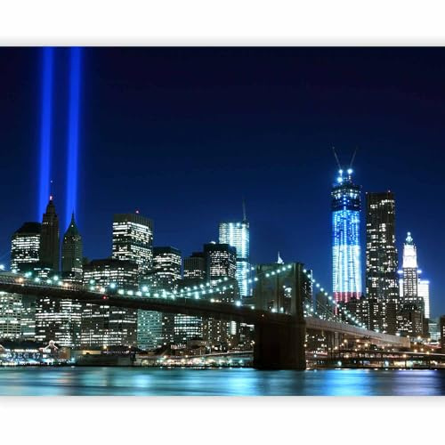 murando Carta da parati 350x270 cm Fotomurali in TNT Murale alla moda Decorazione da Muro XXL Poster Gigante Design Carta per pareti New York 100404-144