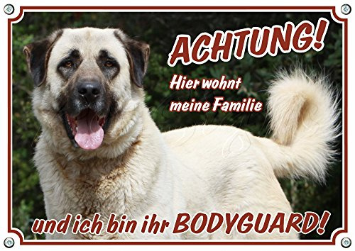Petsigns Warnschild Kangal Coban Köpeki - 1,5 mm Dickes Metallschild in Fotoqualität, DIN A4