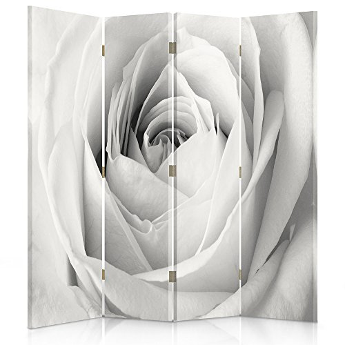 Feeby Frames. Raumteiler, Ggedruckten auf Canvas, Leinwand Wandschirme, dekorative Trennwand, Paravent einseitig, 4 teilig (145x180 cm), WEIßE Rose